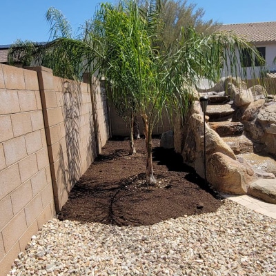 PALM TREE SERVICES